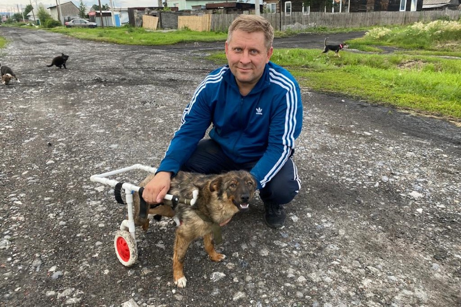 Сотрудник разреза Пермяковский смастерил инвалидную коляску для собаки с парализованными лапами. Разрез Пермяковский